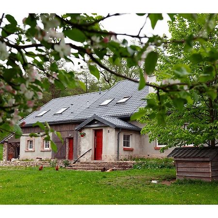 Kozy I Roze Villa Oldrzychowice Klodzkie Exterior photo