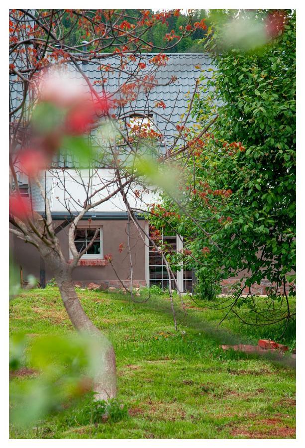 Kozy I Roze Villa Oldrzychowice Klodzkie Exterior photo