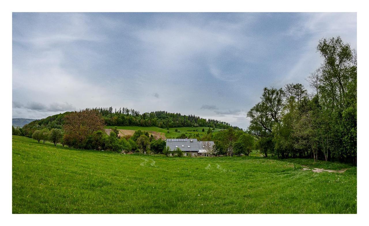 Kozy I Roze Villa Oldrzychowice Klodzkie Exterior photo